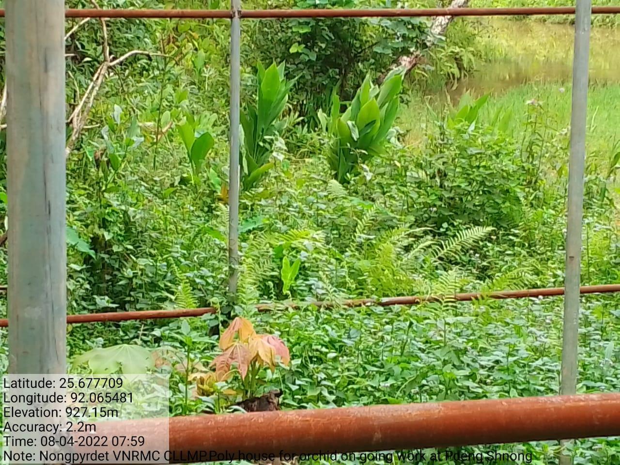 C:\Users\Lavinia Pde\Downloads\71a37e0c-aa62-4991-a6e8-de4ceb849f6e.jpg